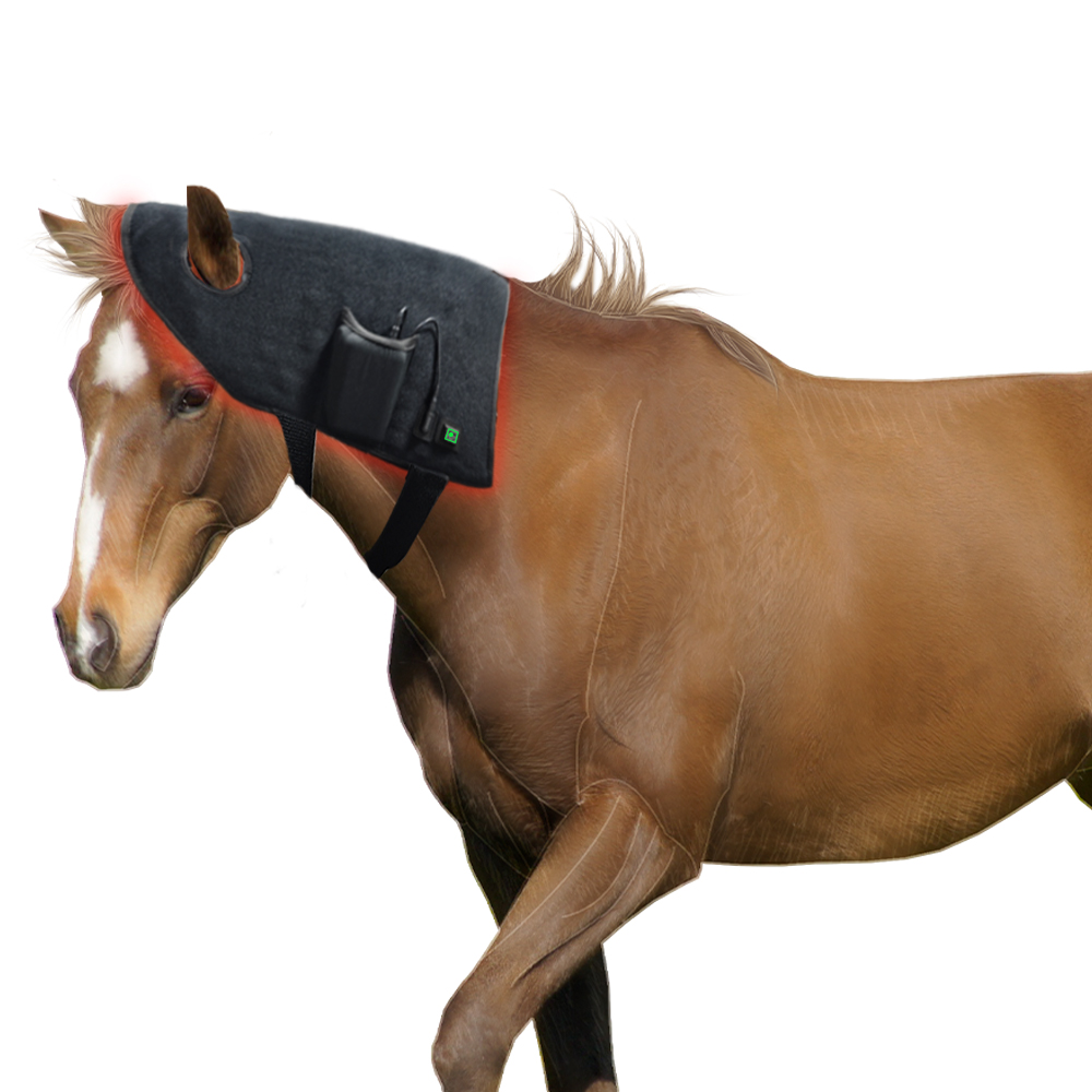 Nouveaux produits pour chevaux - Woodworking Therapy avis et prix